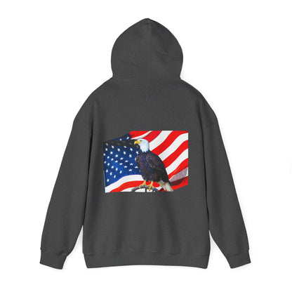 Freedom Hoodsie