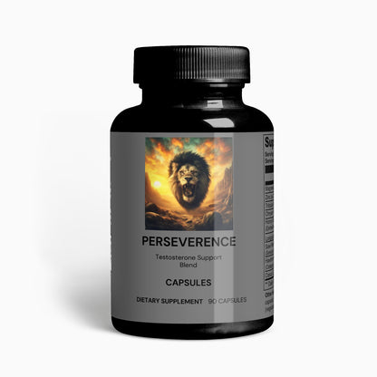PERSEVERENCE