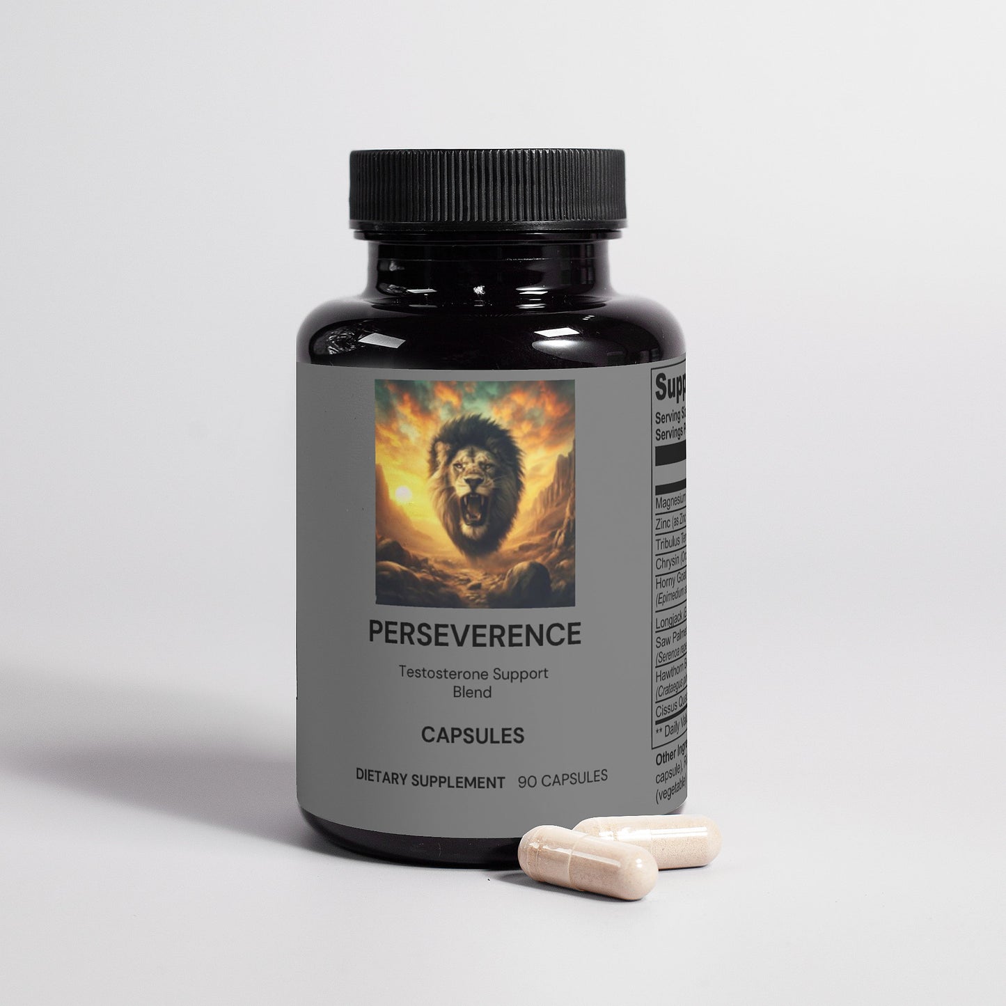 PERSEVERENCE