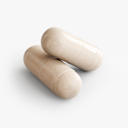 BRAINALYZER
