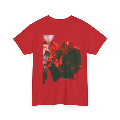 Crimson Blaze