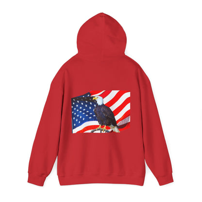 Freedom Hoodsie
