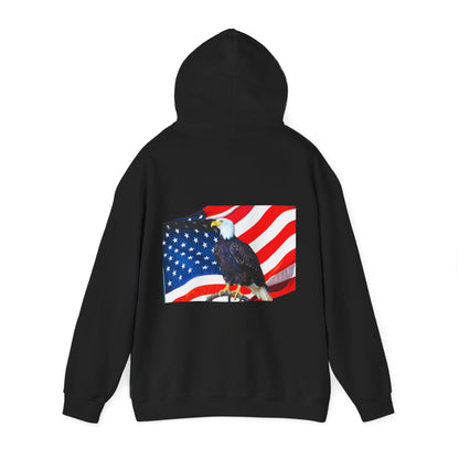 Freedom Hoodsie